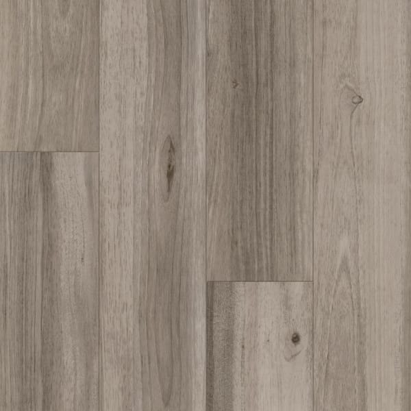 Armstrong - Silver Oyster